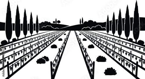 Vineyard landscape silhouette with grape farm rows, countryside agriculture field, vineyard plantation perspective view with trees and hills vector illustration isolated design