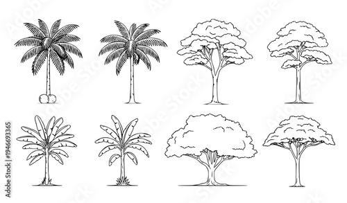 Side view tropical tree silhouette line drawing vector set for architecture and landscape design graphics