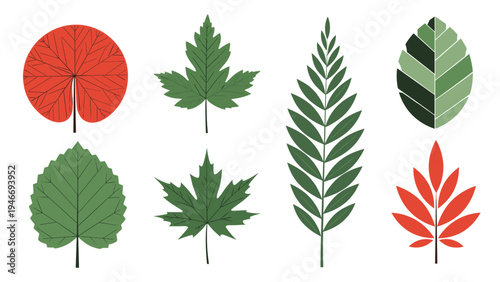 Collection of various tree leaf shapes in green and red colors featuring different species and botanical structures on white background.