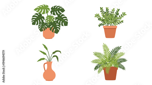 Collection of indoor green plants in terracotta pots including monstera and fern for botanical home decor and gardening.