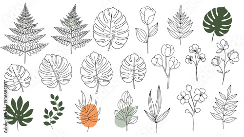 Extensive collection of botanical line art and colored leaf sketches including ferns and tropical monstera for floral design.