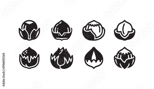 Various Hazelnut Icons Set Whole and Halved Nuts Vector Illustration