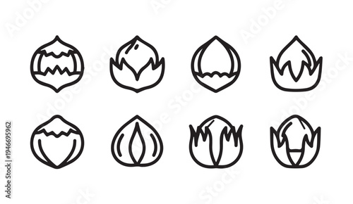 Assorted Nut Icons Simple Outline Set Collection on White