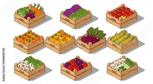 Various fresh vegetables in wooden crates on white background