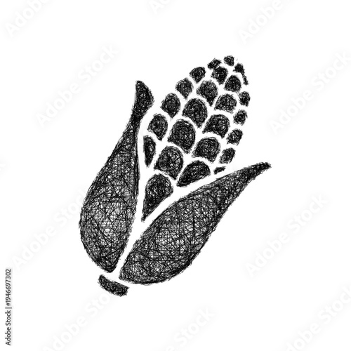 Sketch corn icon design