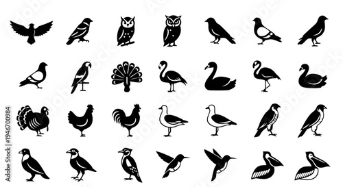 A vector illustration set of high heels and a collection of shoes featuring a black silhouette design of flying birds and nature icons in an artistic animal shape outline