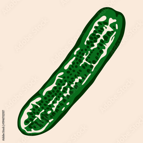 Cucumber slice with seeds. Fresh green vegetable half, abstract cartoon flat organic farming product, healthy diet nutrition concept. Vector isolated illustration