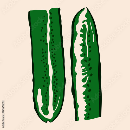Cucumber slices with seeds. Fresh green vegetable pieces, abstract cartoon flat organic farming product, healthy diet nutrition concept. Vector isolated illustration