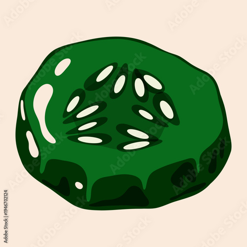 Cucumber slice with seeds. Fresh green vegetable circle, abstract cartoon flat organic farming product, healthy diet nutrition concept. Vector isolated illustration