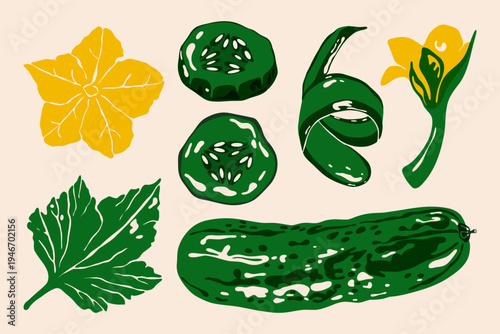 Abstract cucumbers. Green fresh whole and sliced vegetables with bumpy skin and flower, organic farm food risograph print, healthy natural ingredients. Vector cucumber set