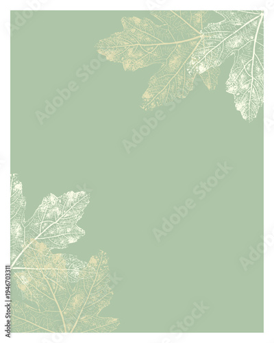 Elegant Sage Green Background with Textured Plane Tree Leaf Imprints and Vein Details. Vector illustration