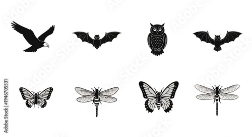 Set of black silhouette flying animals including eagle bats owl butterfly and dragonfly icons on white background