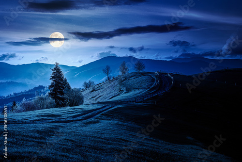 countryside landscape in mountains at night. full moon over rural picture of wooden fence near dirt road through grassy fields on rolling hills. mysterious scenery with distant ridge during springtime