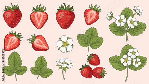 Comprehensive set of strawberry botanical elements featuring whole fruit, sliced halves, white blossoms, and green leaves for designs.