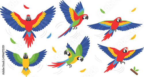 Flying macaw parrot set with colorful wings spread, tropical exotic birds in flight cartoon style vector illustration collection