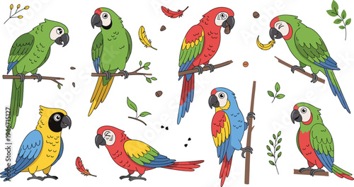 Colorful tropical parrot set with different species perched on branches, exotic rainforest birds cartoon vector illustration collection