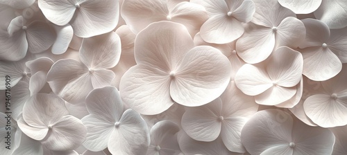 Delicate Floral Pattern with Soft Pastel Hues, Elegant Blooms and Graceful Design Elements