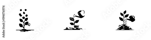 Nature's Blossoming: A Seedling Sprouts with the Help of a Yellow Flower