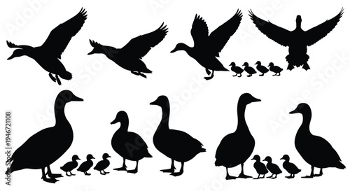 Stages of a woman s life depicted in a simple silhouette