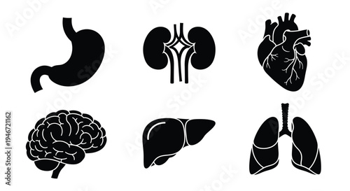Industrial landscape with wind turbines and oil rig stark silhouette