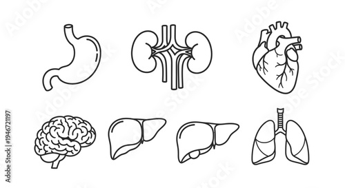 Industrial landscape featuring wind turbines and oil rigs black silhouette