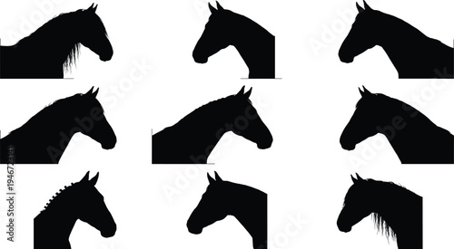 Horse head silhouettes collection with different equine profiles farm animal symbol set isolated flat vector illustration