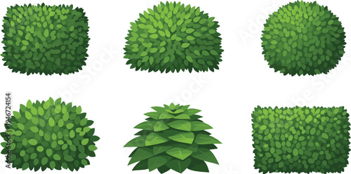 Green bush hedge plant collection isolated garden landscaping foliage shrub nature decorative vector illustration set design