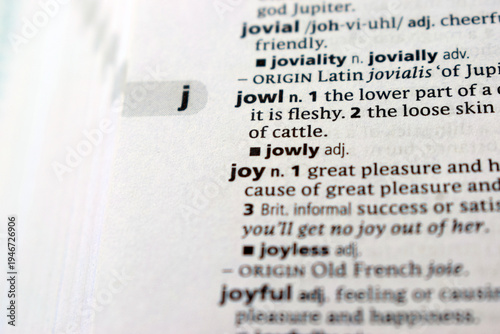 Schilderij op canvas Definition Of English Dictionary Close Up Of Page With Word - jowl