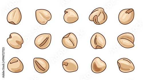 Collection of dried chickpeas shown in various angles and positions as a detailed food illustration for culinary use.