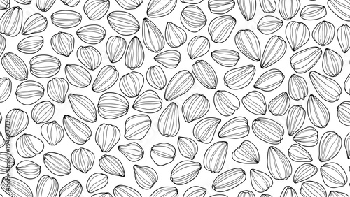 Seamless pattern background featuring hand drawn sketches of hazelnuts scattered across a clean white canvas surface.