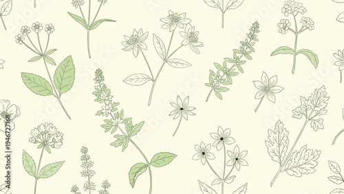 Seamless botanical pattern with various hand drawn sketches of medicinal herbs and wild flowers on a cream background.