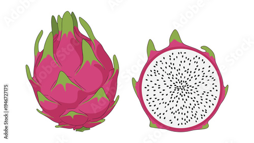 Whole pink dragon fruit and a cross section showing the white flesh with tiny black seeds in a vector illustration.