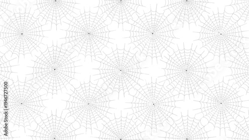 Intricate pattern of multiple spider webs with fine grey lines is repeated across a plain white background for spooky or natural themes.