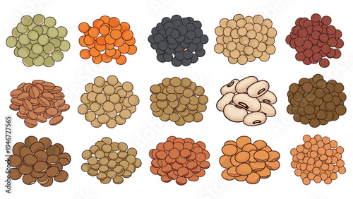 Extensive collection of fifteen different piles of legumes and beans including lentils, chickpeas, and soy for healthy dietary options.