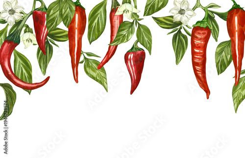 A watercolor banner with peppers, hanging chili pods, jalapenos, cayenne peppers, green leaves, and flowers. All hand-painted in watercolor. Ideal for kitchen decor, culinary menus, and food design.