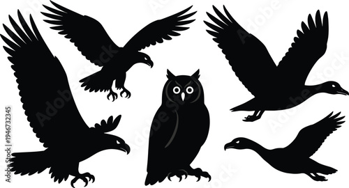 Set of Bird Silhouettes Featuring Flying Eagle, Owl, and Goose Isolated on White Background for Wildlife Nature Graphic Design Projects