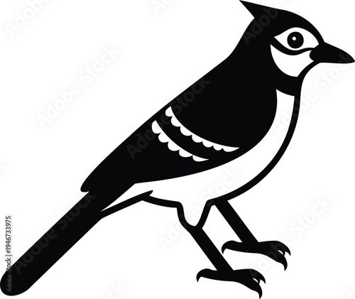 Black and white illustration of a small bird with distinctive markings