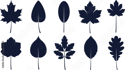 Collection of ten distinct botanical leaf silhouettes against a white background represents different tree species.