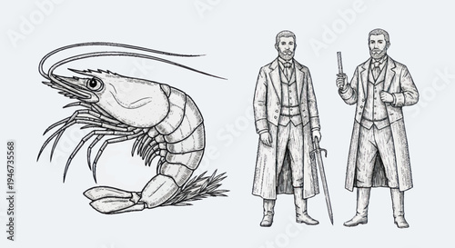 Vintage Shrimp and Victorian Gentlemen Illustration.