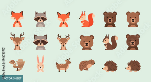 Cute Woodland Animals Collection Vector Illustration.