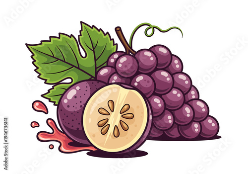 Vibrant illustration of juicy purple grapes and a fresh passion fruit, with delightful juice splatters. Perfect for organic food, drink, and wellness designs showcasing natural sweetness