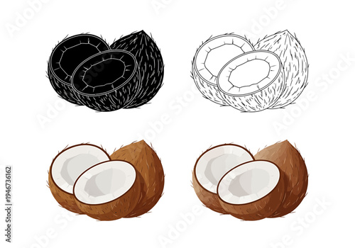 Assorted tropical coconut illustrations; whole and halved in outline, silhouette, and full color, ideal for creative projects and health themes