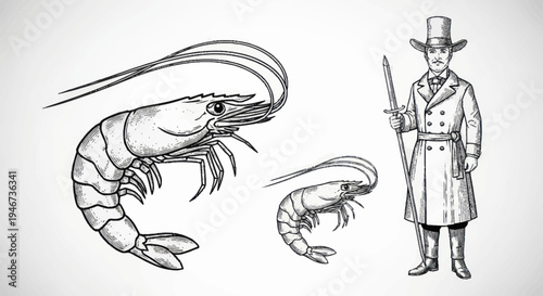 Vintage Illustration of Shrimp and a Gentleman in Top Hat.