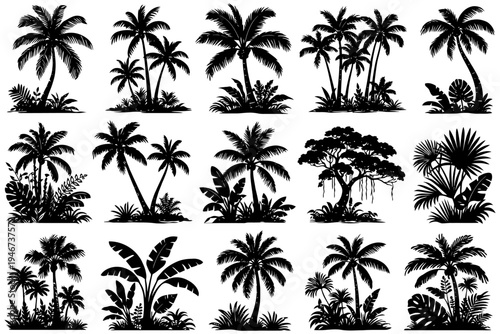Collection of tropical plant silhouettes featuring palms and exotic trees.