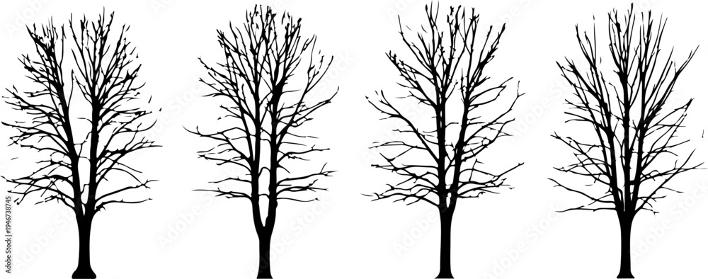 Obraz premium Adobe Illustrator Artwork