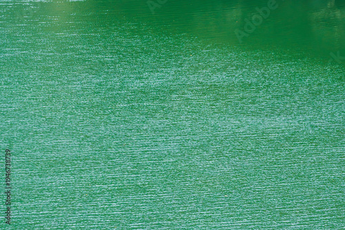 春の日差しで湖水が輝く09