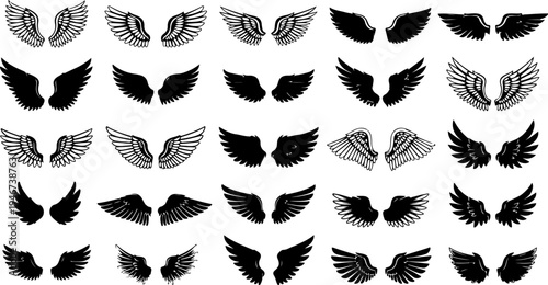 Adobe Illustrator Artwork