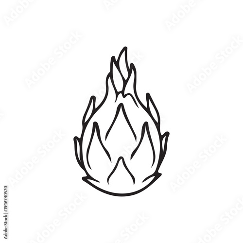 dragon fruit vector 