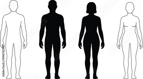 Human body vector illustrations in various styles and colors