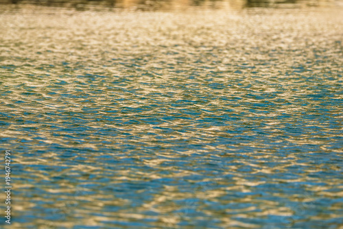 春の日差しで清流の水面が輝く01